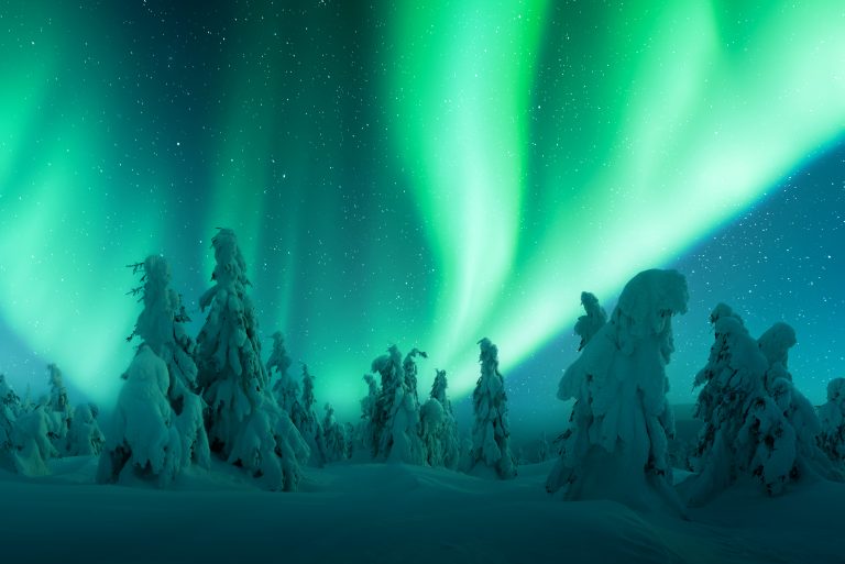 northern-lights-in-winter-forest